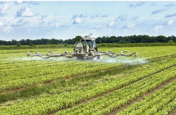 <a href=http://www.fliange.cn/mcy/ target=_blank class=infotextkey>木醋液</a>